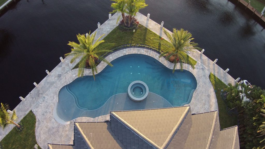 freeform pool with sunledge