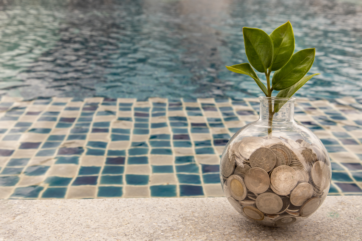 The saplings that grow on the pile of coins In a glass bottle on pool background